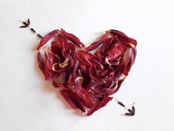 comment cultiver l'amour de soi pour un bien-être durable