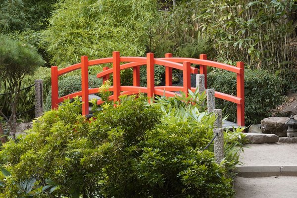 Comment réussir la transition de l'étudiant en santé au professionnel en exercice